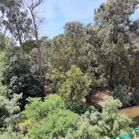 Forest View Lisboa Exterior foto