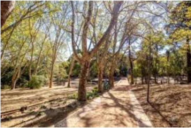 Forest View Lisboa Exterior foto